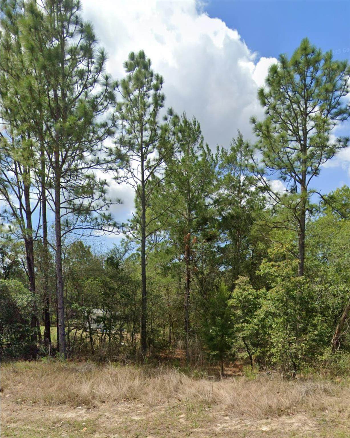 3808 Indian Rock Pl - Photo 1
