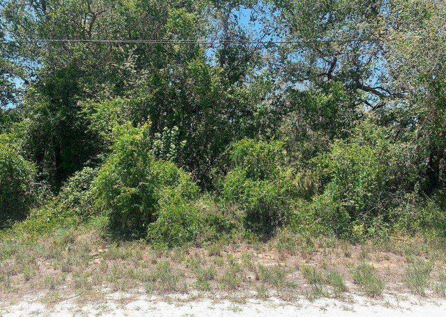 1801 Croton Rd - Photo 1