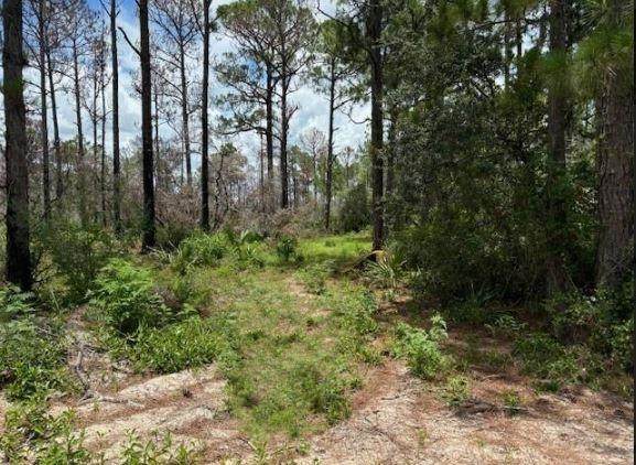 328 Claverton Dr - Photo 1