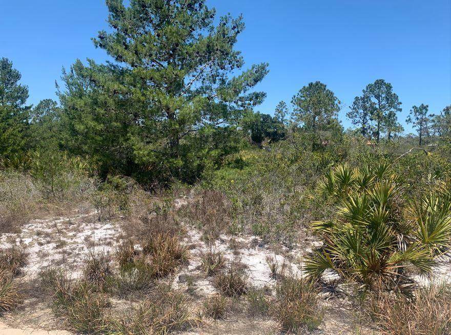 2918 Gaffney Rd - Photo 1