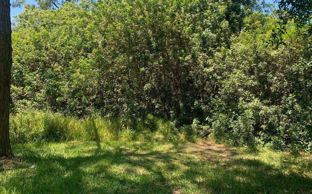 1956 Tanager Rd - Photo 1