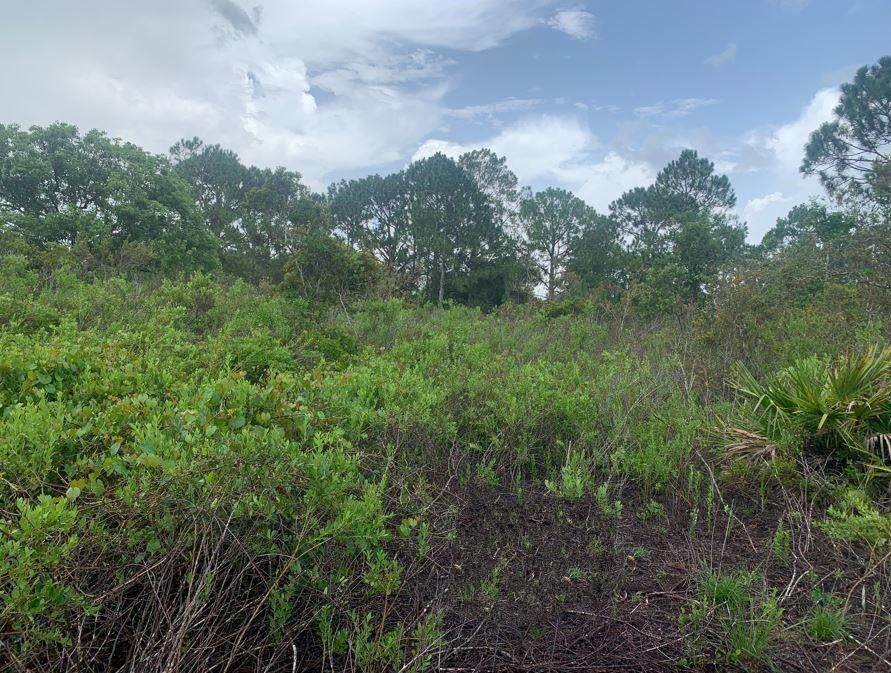 4105 Nogales Ave - Photo 1