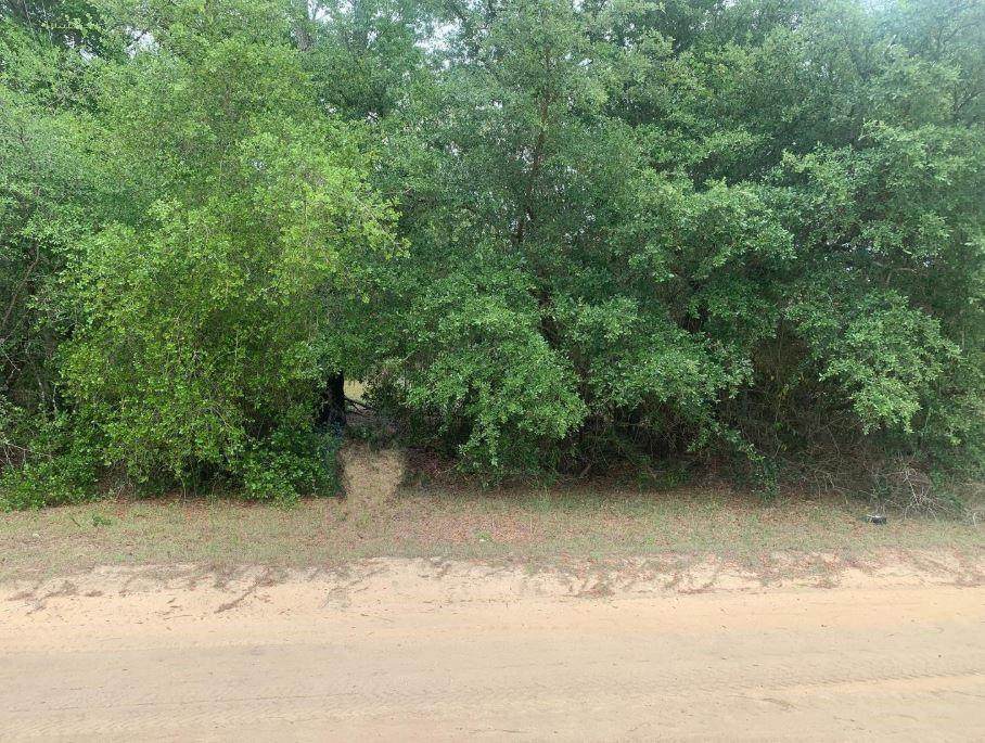 110 Brown St - Photo 1