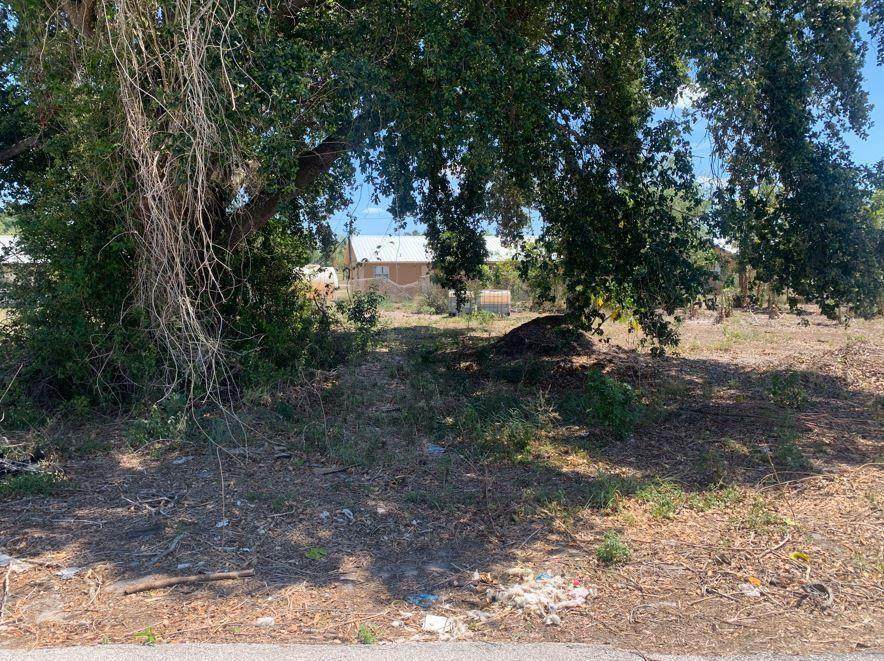 30 Metcalfe St - Photo 1