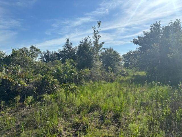 0 304th St - Photo 1