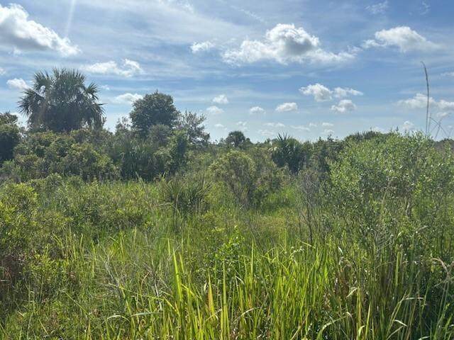 0 312th St - Photo 1