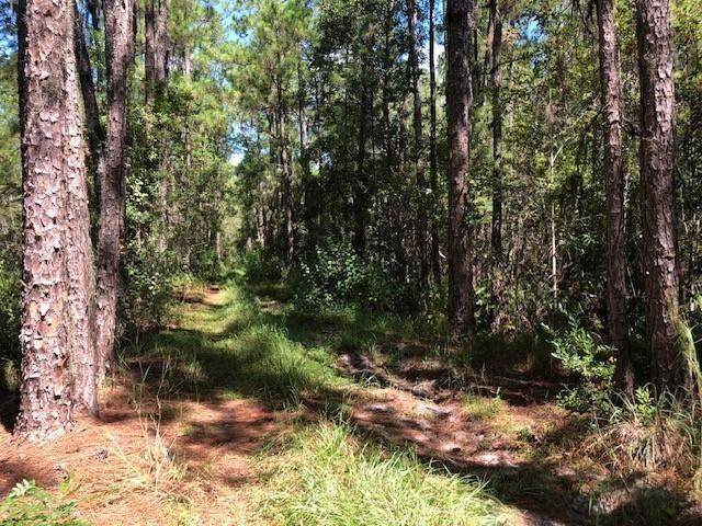 0 Old Grade Road - Photo 1