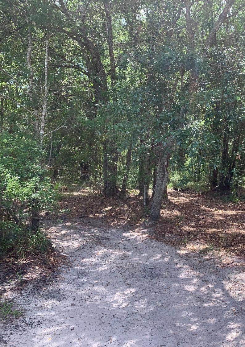 0 County Rd 54 - Photo 1
