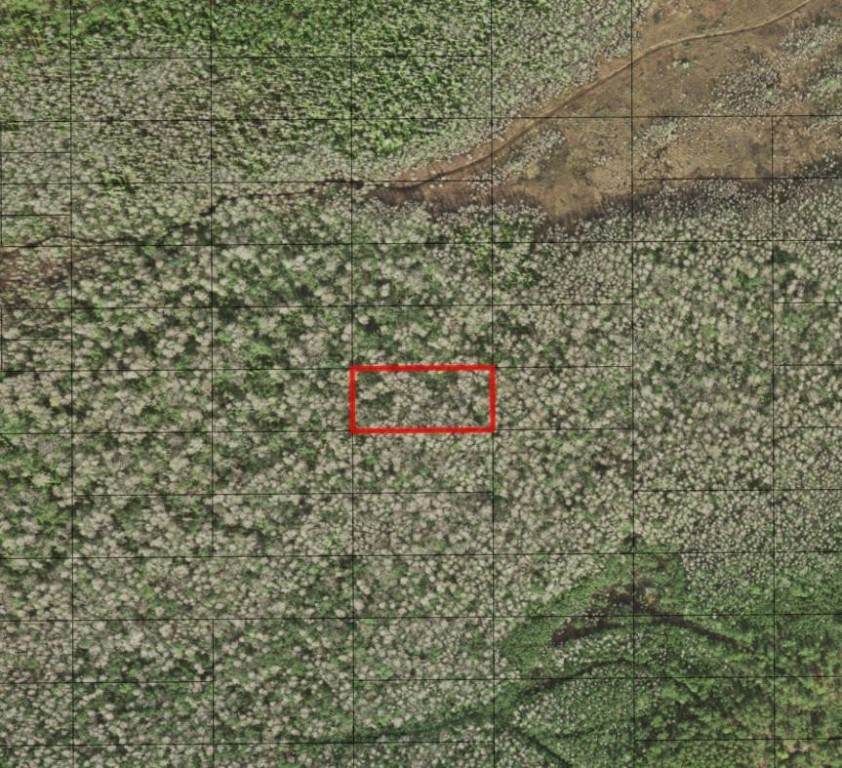 0 Holopaw Groves - Photo 1