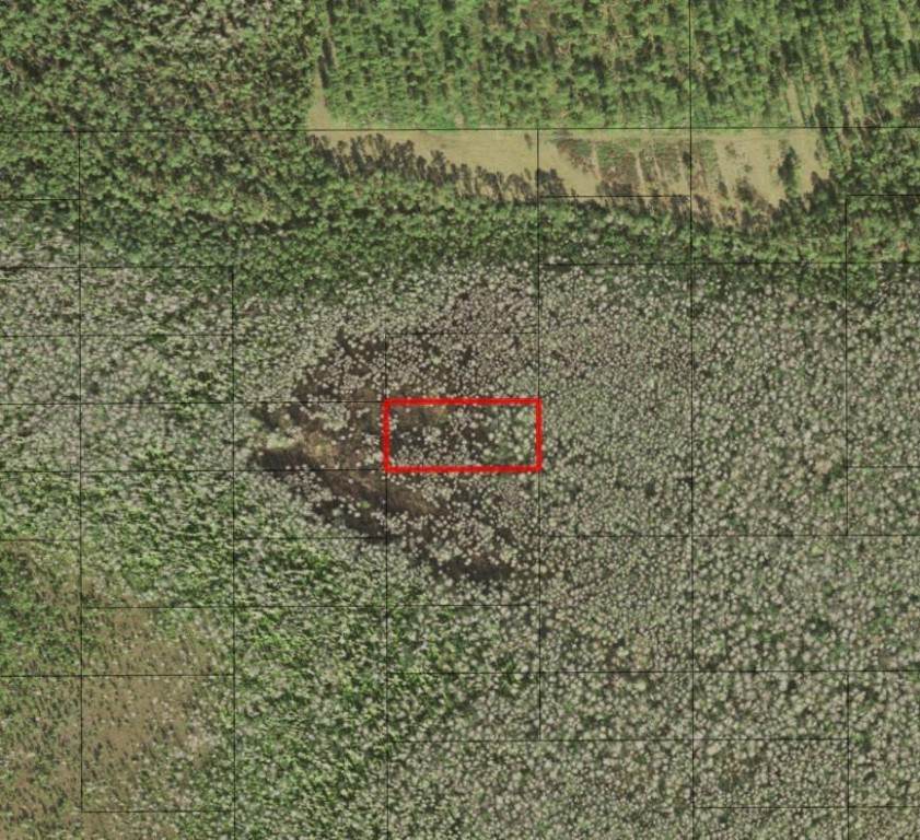 0 Holopaw Groves - Photo 1