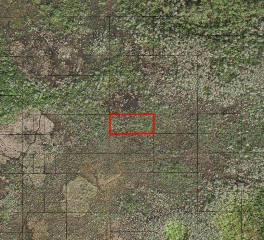 0 Holopaw Groves - Photo 1