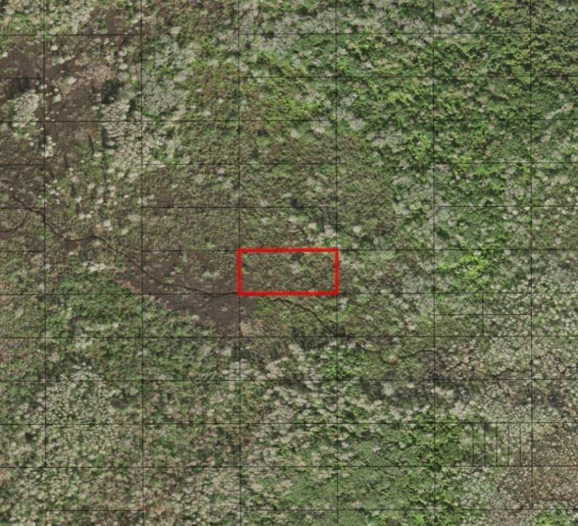 0 Holopaw Groves - Photo 1