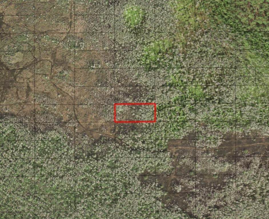 0 Holopaw Groves - Photo 1