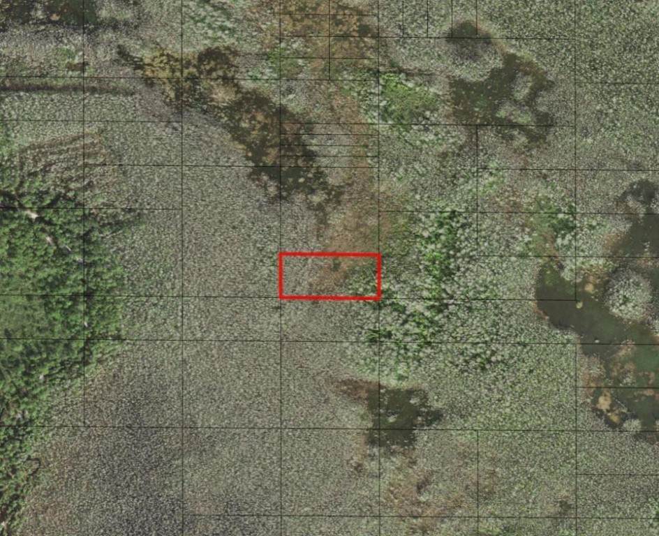 0 Holopaw Groves - Photo 1