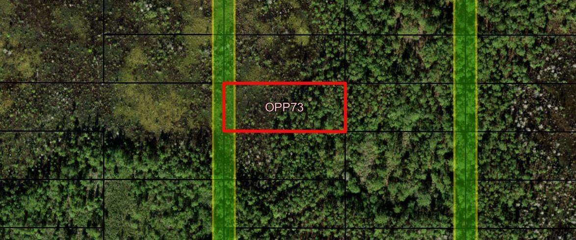 0 Old Grade Road - Photo 1