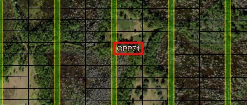 0 Old Grade Road - Photo 1