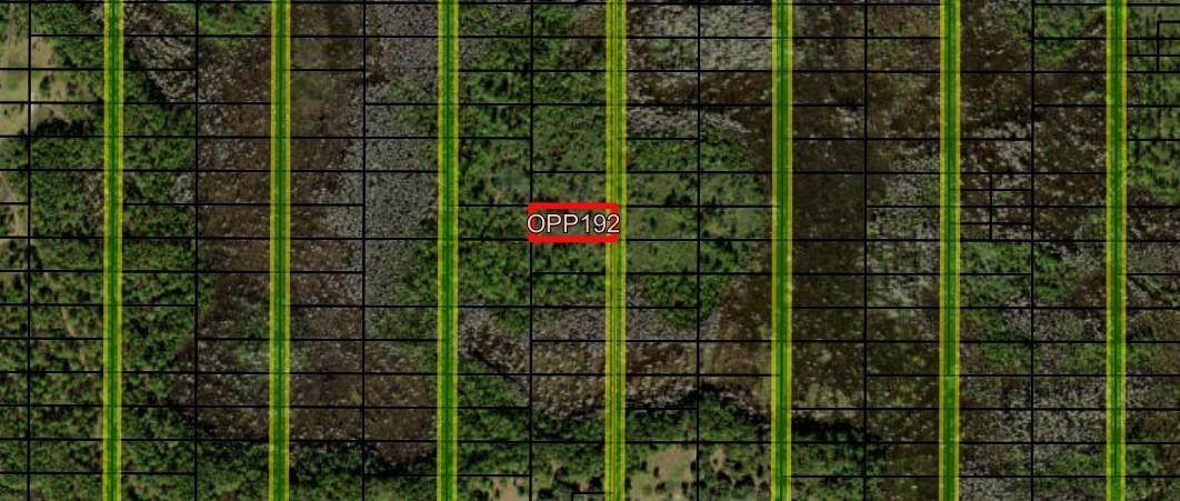 0 Old Grade Road - Photo 1