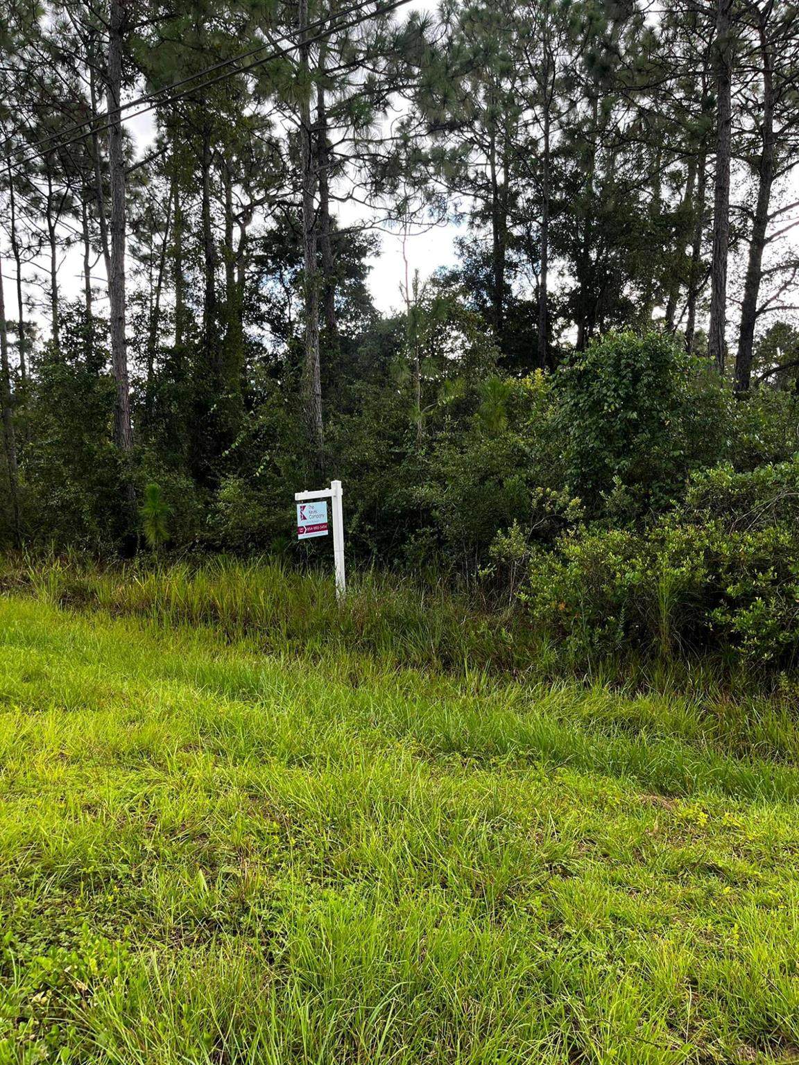 0 Sabal Street - Photo 1