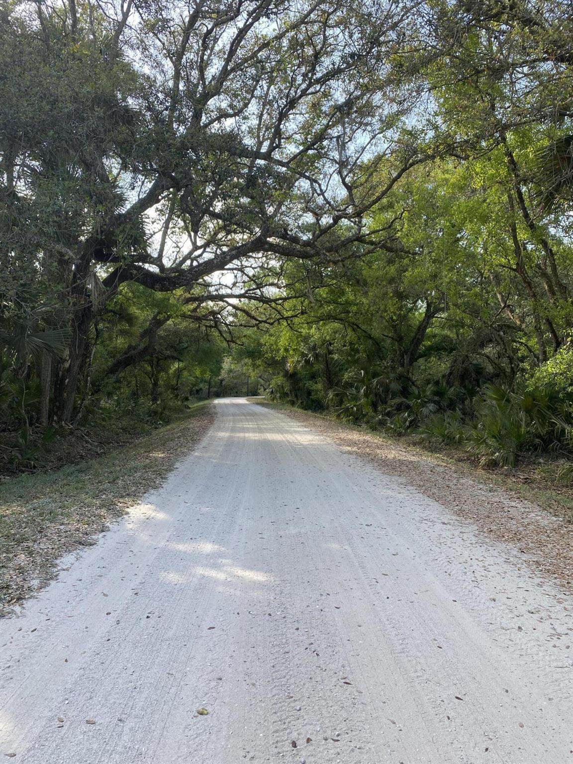 32801 Us Highway 441N Lot 167 - Photo 1