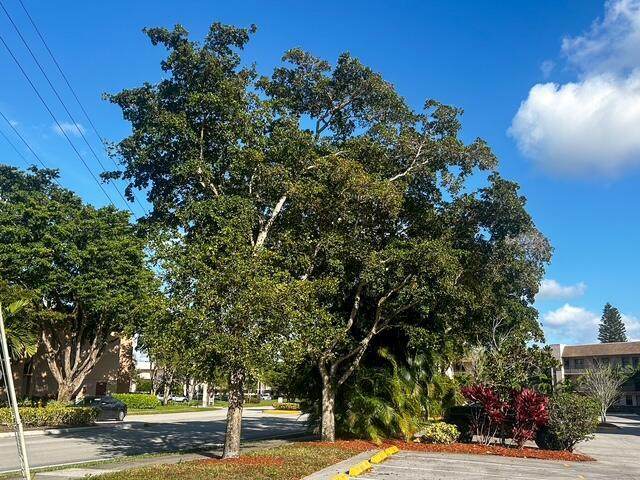 10332 Sunrise Lakes Boulevard - Photo 1