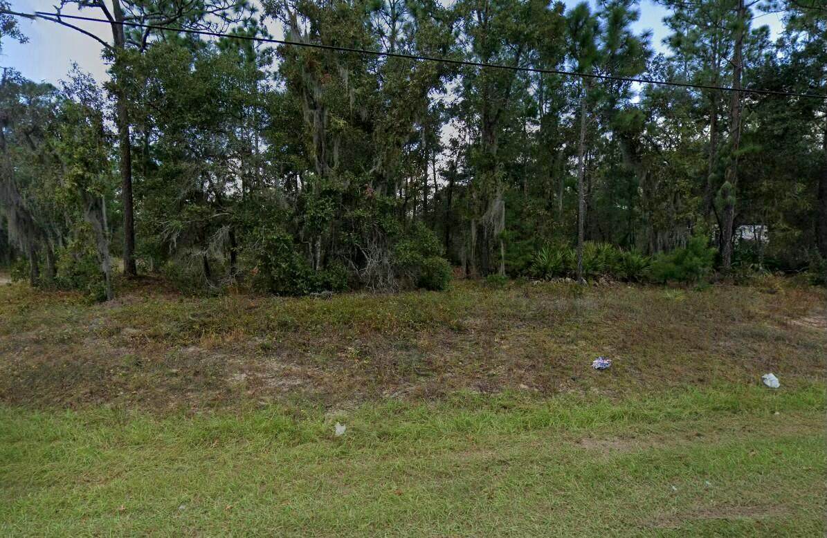 7211 Cardinal Street - Photo 1