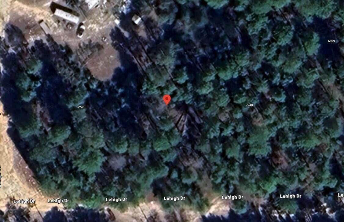 7244 Lehigh Drive - Photo 1