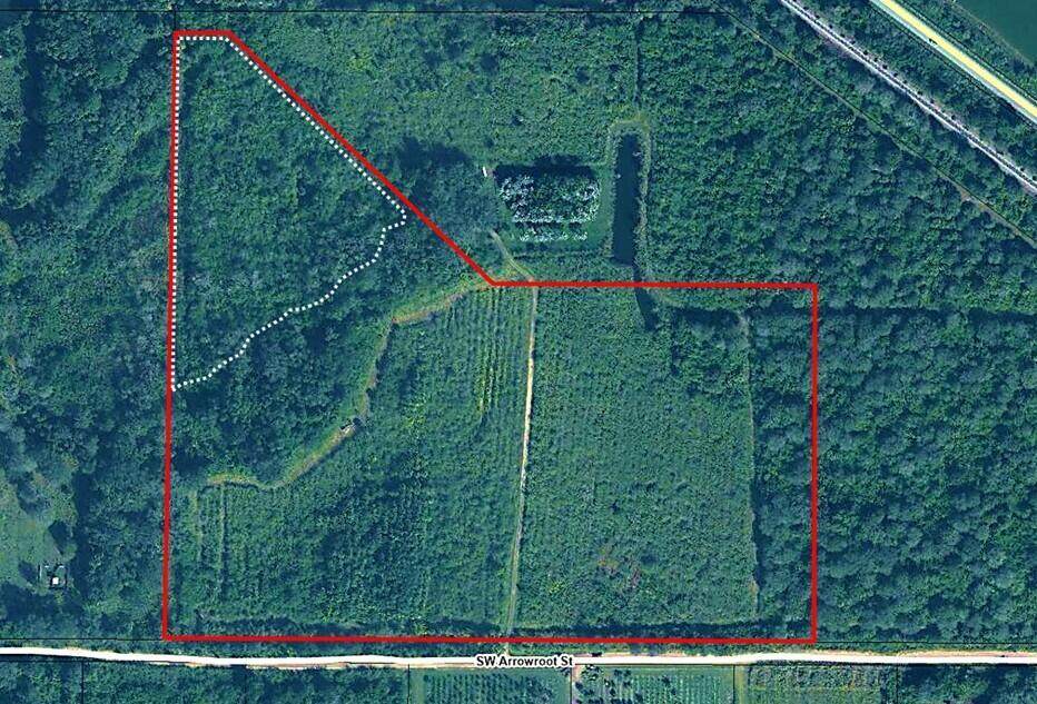 22801 Arrowroot Street - Photo 1