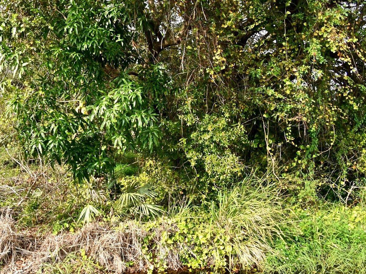 Tbd 37th Street - Photo 1