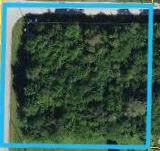 Xxxx 35th Place - Photo 9