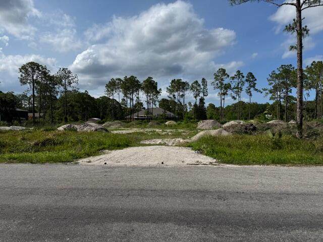 16773 78th Road - Photo 1