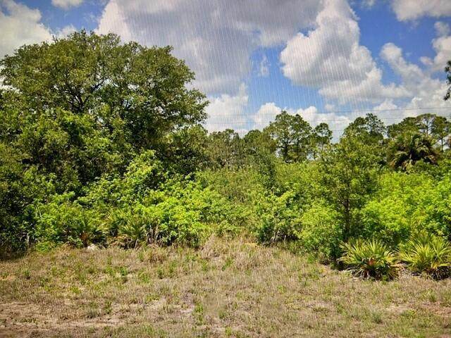8013 Buttercup Circle - Photo 1