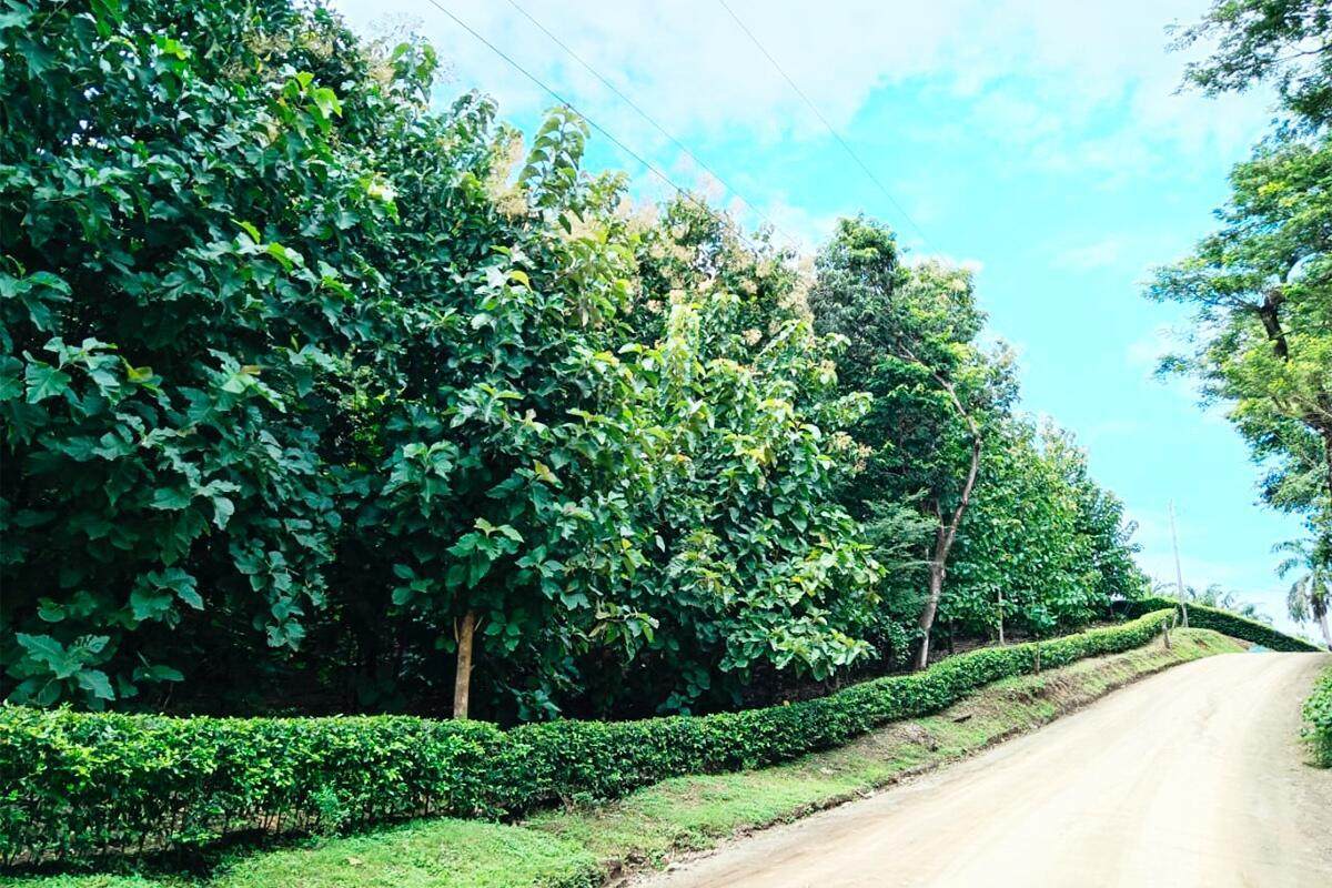 https://bt-photos.global.ssl.fastly.net/beaches/orig_boomver_1_R11097388-2.jpg