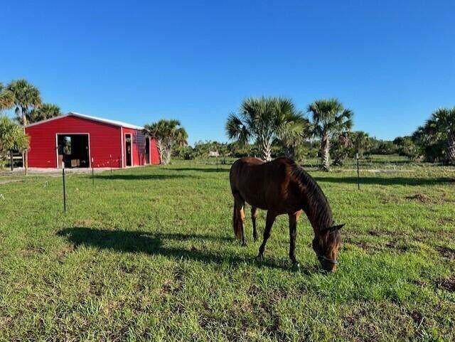 1303 Cabbage Lane - Photo 1