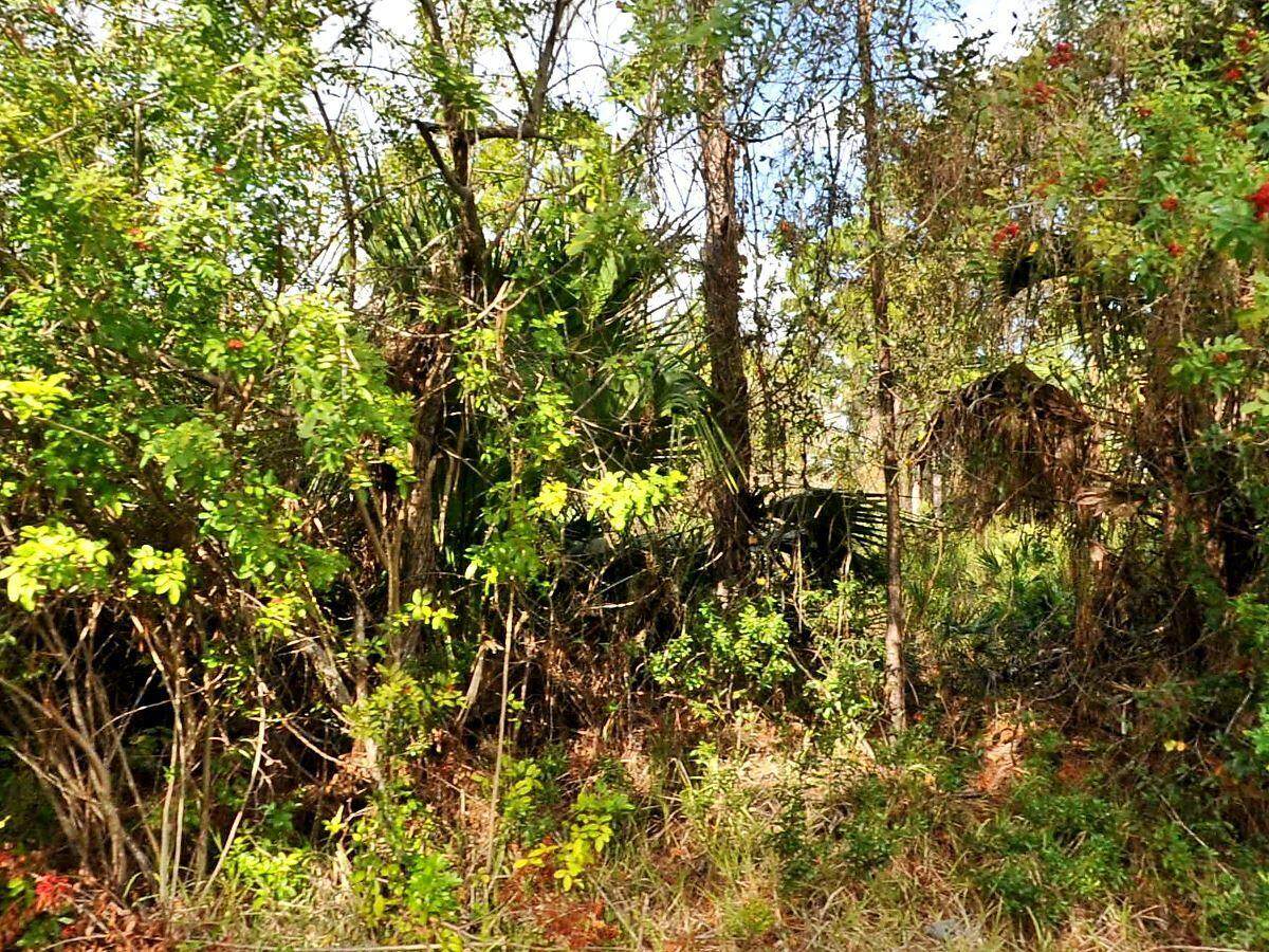 0 Haffenberg Ave Avenue - Photo 1