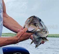 https://bt-photos.global.ssl.fastly.net/beaches/orig_boomver_1_R11105478-2.jpg