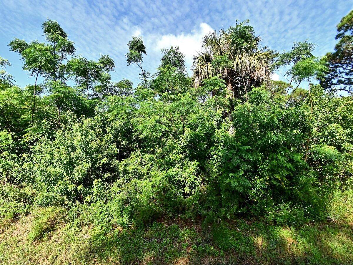0 Oleander Avenue - Photo 1
