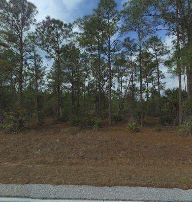 1223 Richmond Avenue - Photo 1