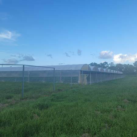 17300 Glades Cut Off Road - Photo 1