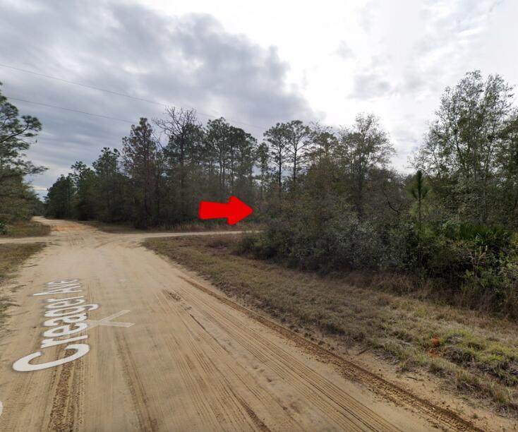 000 Creager Avenue - Photo 1