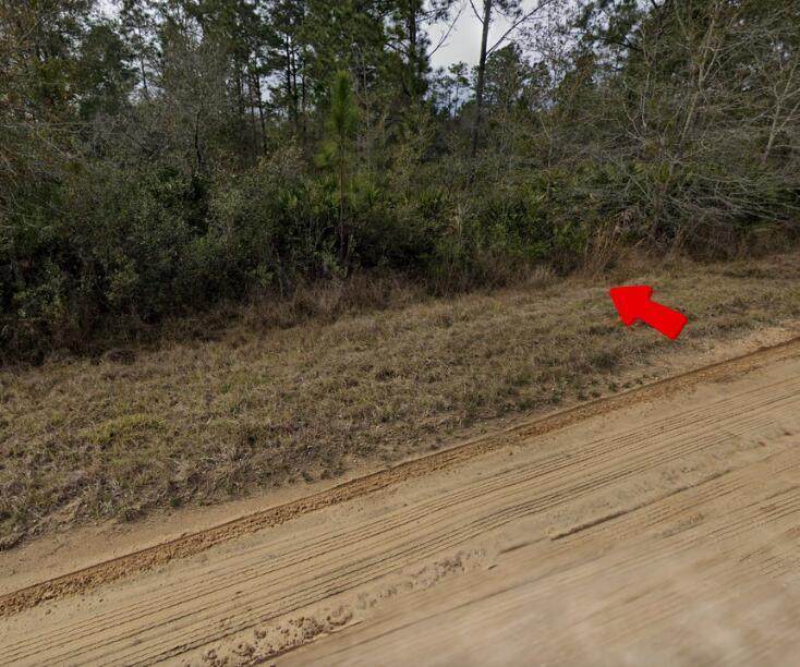 003 Creager Avenue - Photo 1