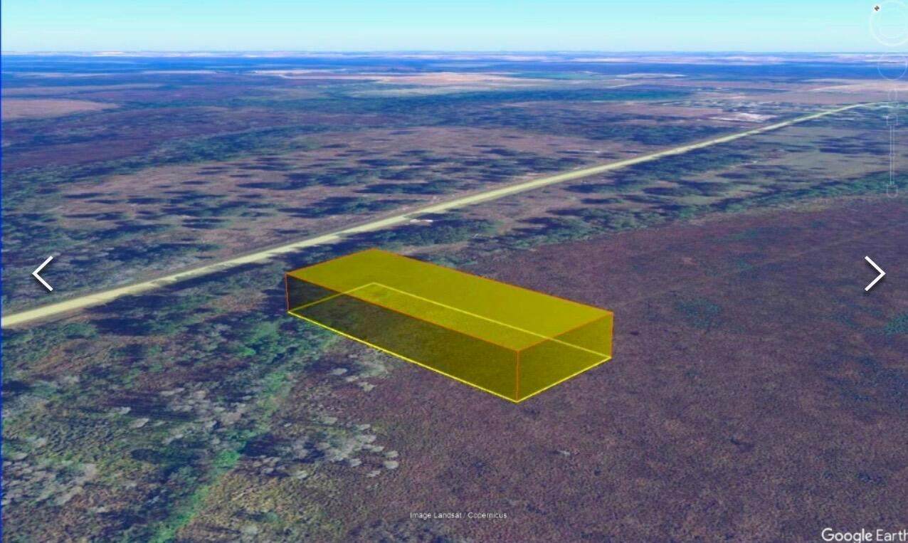 00 Old Polk City Road - Photo 1