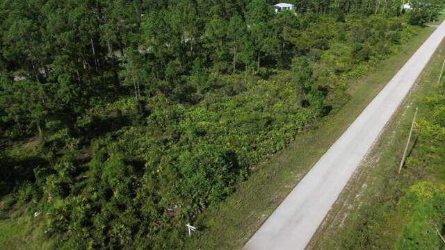 1115 Chiefland Street - Photo 1