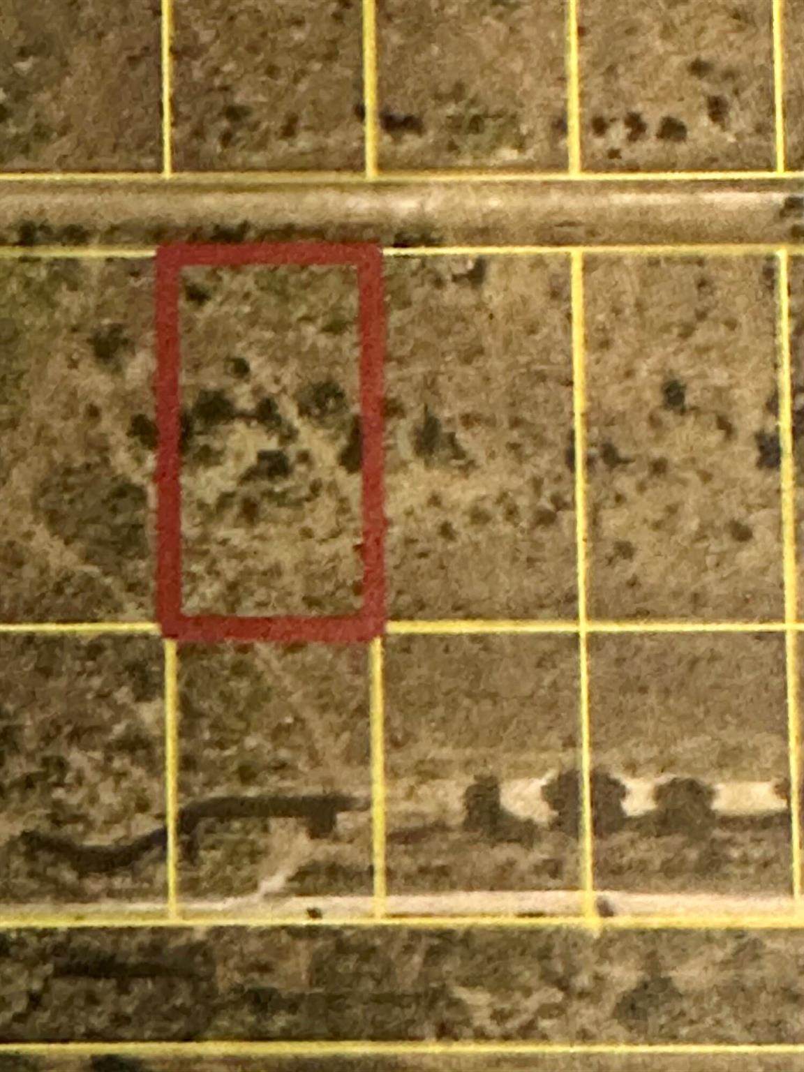 22076 242nd - Photo 1