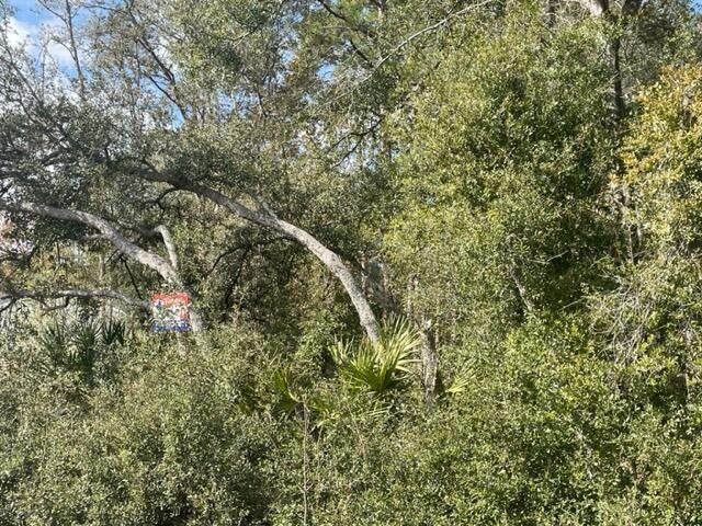 000 Malauka Cir - Photo 1