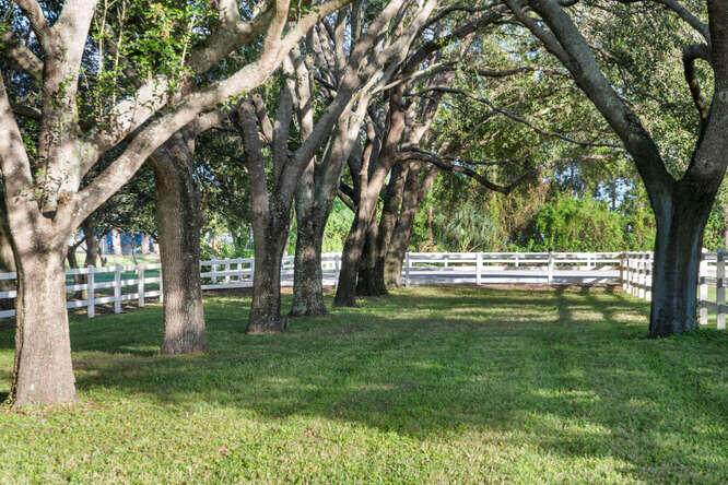 2760 Appaloosa - Photo 1