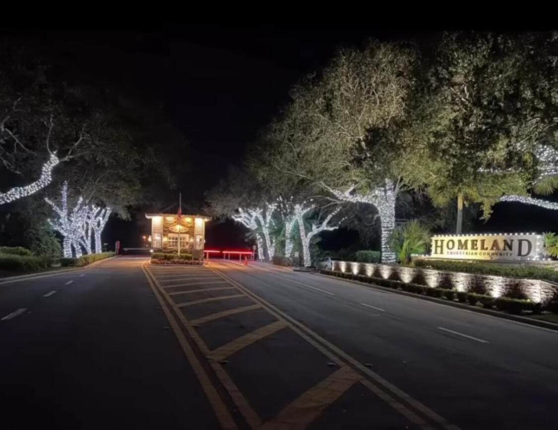 11230 Alligator - Photo 1