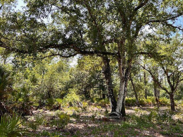 1116 Belmonte Drive - Photo 1