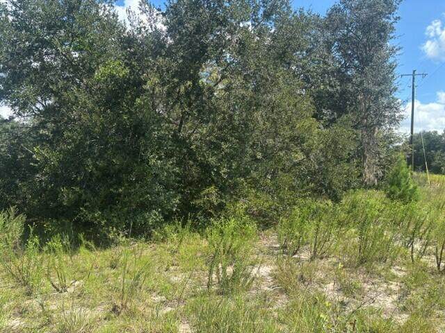 0 Shirley Street - Photo 1
