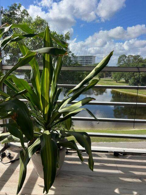 2751 Palm Aire Drive - Photo 1