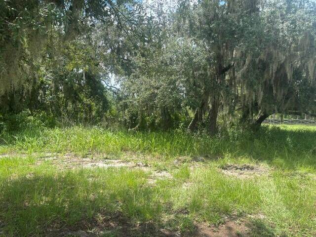 0 Old Stokes Road - Photo 1